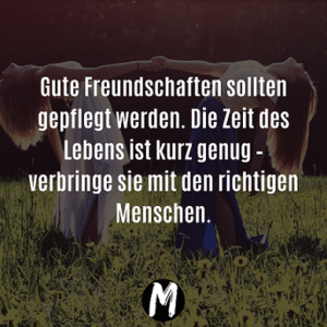 Die besten Feundschaftssprüche für jede Situation zusammengefasst.
